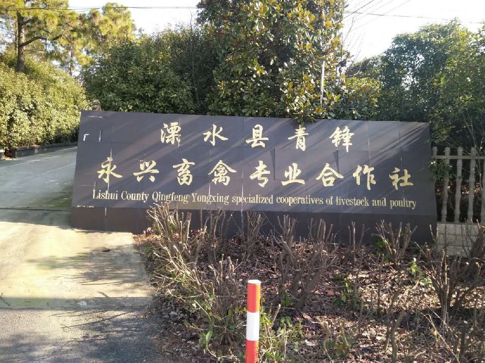 公司环境